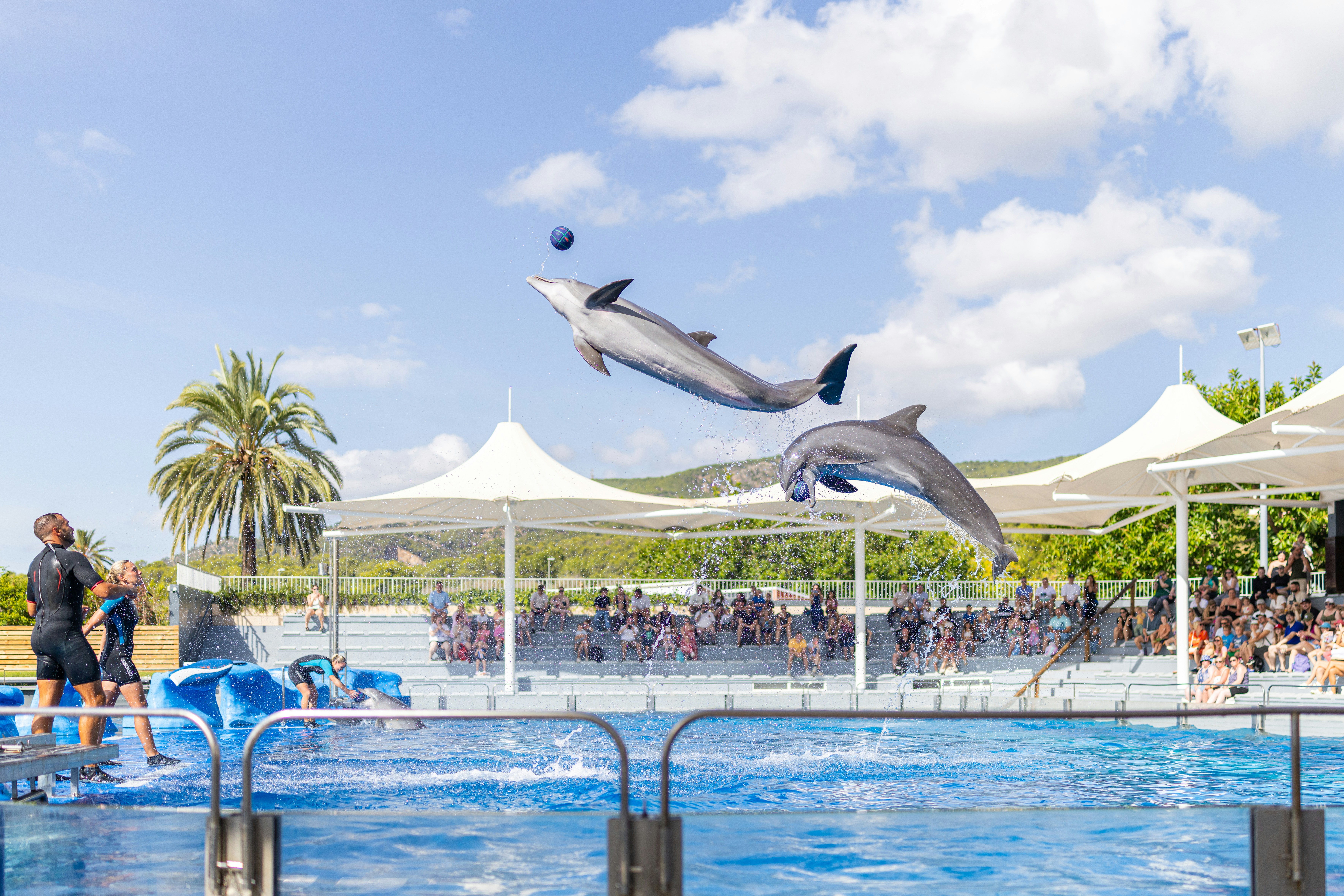 Safari World And Marine Park